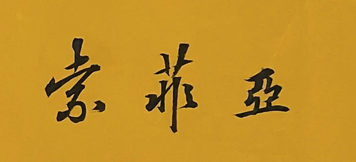 Real handwritten calligraphy of the name Sophia in Chinese, 索菲亚