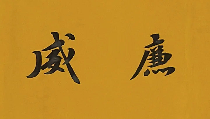Real handwritten calligraphy of the name William in Chinese, 威廉